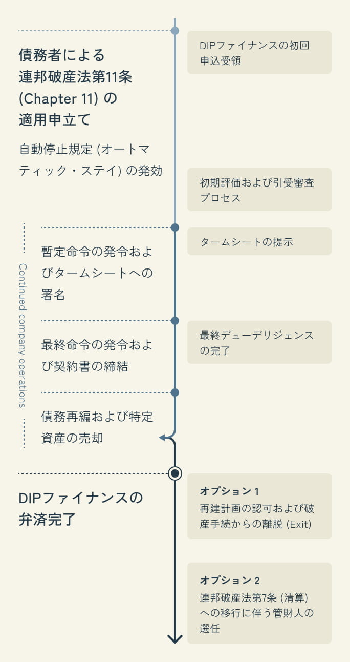 DIPファイナンス